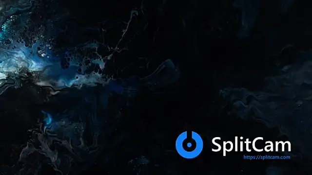 vanered2 online show from 11-24-25, 11:49