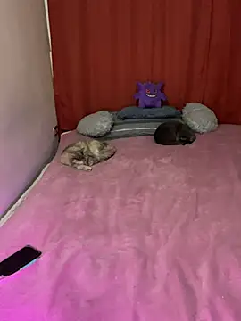 Felicia smok3 online show from 07-21-26, 03:30