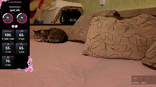 Miss Flexi fit online show from 04-04-26, 08:37