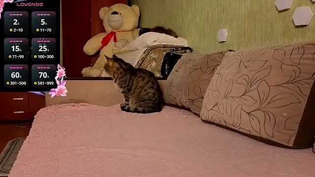 Miss Flexi fit online show from 04-09-26, 04:57