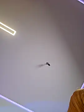 LessiaMia online show from 04-04-26, 07:53