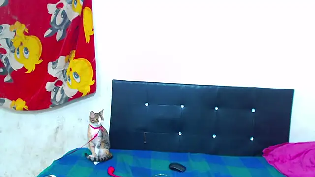 The wickles 4443 online show from 02-09-26, 05:05