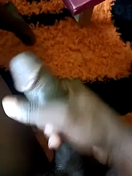 ElonDeking online show from 03-02-25, 12:25