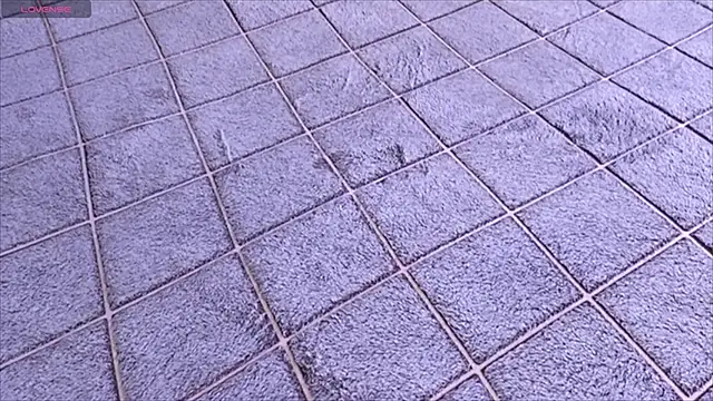 viviann evans online show from 01-13-26, 12:58