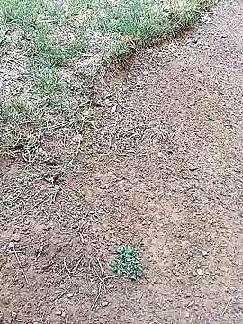 Vuyokaki online show from 02-03-26, 03:06