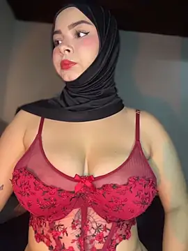 Snapshot of aneesa_darzi chatting on 02-12-26, 04:40 aneesa darzi online show from 02-12-26, 04:40