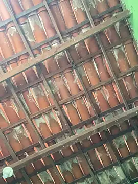 Duduhott online show from 01-18-26, 12:41