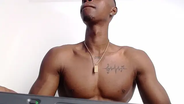 drake brwon 23 online show from 10-01-25, 01:37