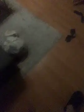 chrille82 online show from 11-21-25, 06:07