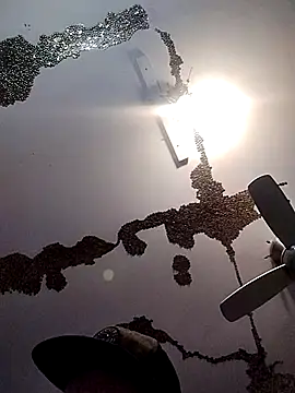 ColdVisitor online show from 03-21-25, 06:38