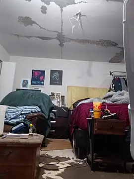 ColdVisitor online show from 02-25-26, 01:39