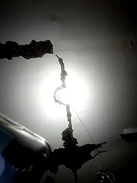 ColdVisitor online show from 02-06-26, 01:34