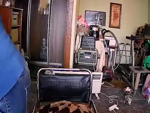 LOLA8888 online show from 11-13-25, 12:31