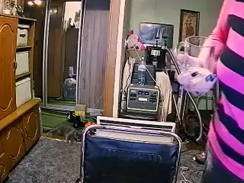 LOLA8888 online show from 12-04-25, 12:04