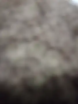 Wedgie boy online show from 03-01-26, 12:10