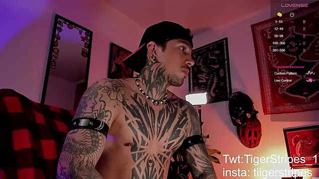 TigerStripes1  online show from 03-27-26, 10:27