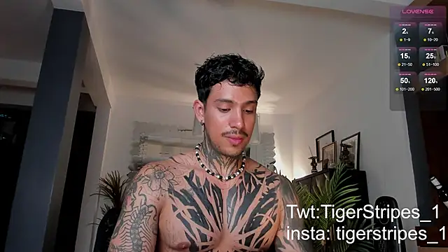 Snapshot of TigerStripes1_ chatting on 02-28-25, 12:43 TigerStripes1 online show from 02-28-25, 12:43