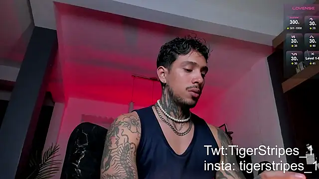 Snapshot of TigerStripes1_ chatting on 02-09-25, 05:40 TigerStripes1 online show from 02-09-25, 05:40