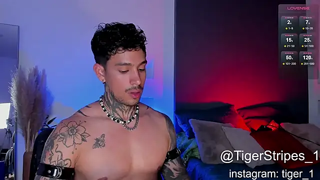 Snapshot of TigerStripes1_ chatting on 02-02-25, 10:28 TigerStripes1 online show from 02-02-25, 10:28