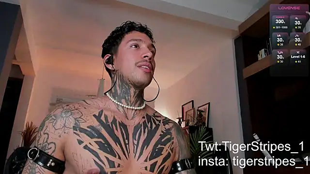 Snapshot of TigerStripes1_ chatting on 02-24-25, 11:19 TigerStripes1 online show from 02-24-25, 11:19