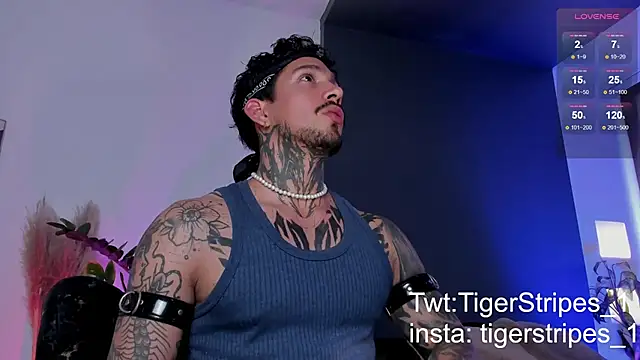 Snapshot of TigerStripes1_ chatting on 03-19-25, 08:54 TigerStripes1 online show from 03-19-25, 08:54