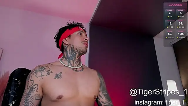 Snapshot of TigerStripes1_ chatting on 01-16-25, 01:48 TigerStripes1 online show from 01-16-25, 01:48