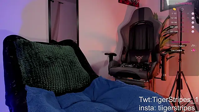 TigerStripes1  online show from 03-28-26, 11:33