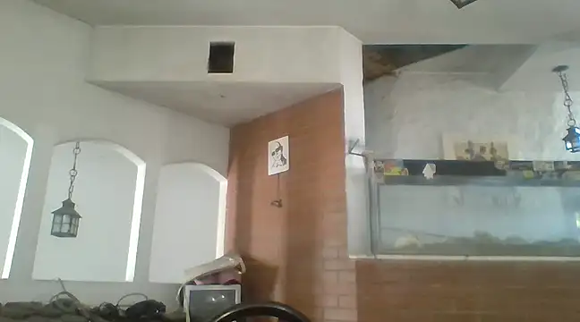 Stevenson988 online show from 02-06-25, 07:07