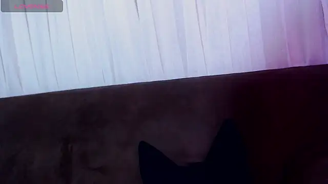 Snapshot of AlissonnFoxx chatting on 06-02-26, 12:21 AlissonnFoxx online show from 06-02-26, 12:21