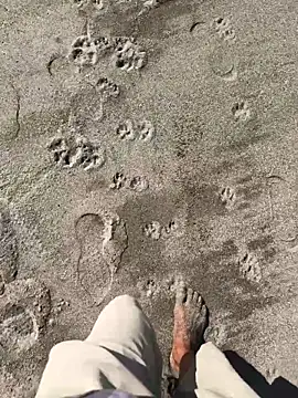 kvr27 online show from 01-07-26, 03:06