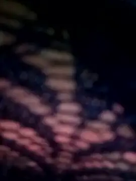 09punjabi online show from 03-13-25, 02:44