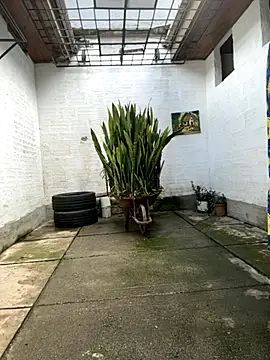 oliver price1 online show from 10-27-25, 07:26