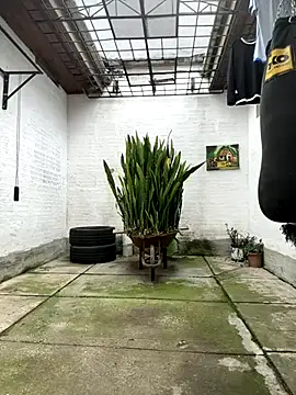 oliver price1 online show from 11-15-25, 06:45