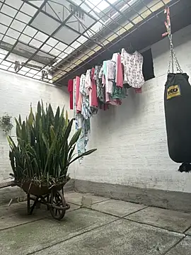 oliver price1 online show from 03-28-26, 09:38