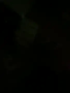 speedyg16 online show from 12-11-24, 03:35