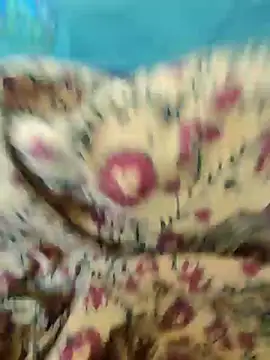 Kolkata   Boy online show from 02-18-25, 08:27